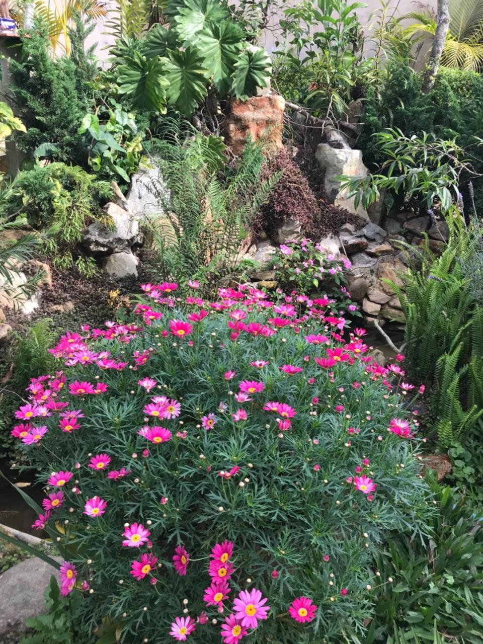 De Daisy Villa Homestay Da Lat Eksteriør billede