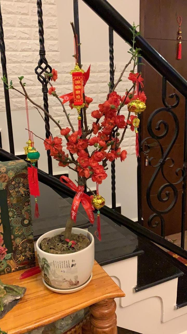 De Daisy Villa Homestay Da Lat Eksteriør billede