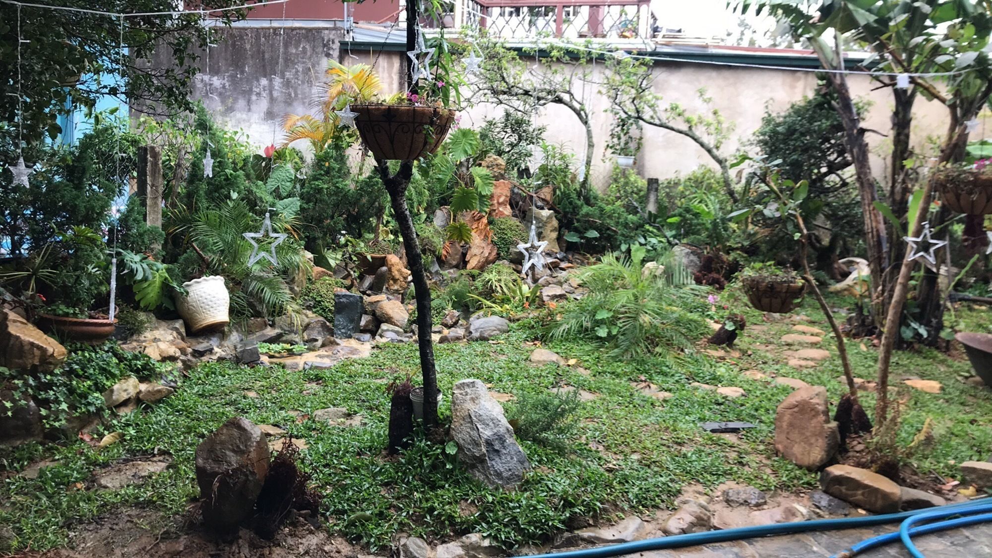 De Daisy Villa Homestay Da Lat Eksteriør billede